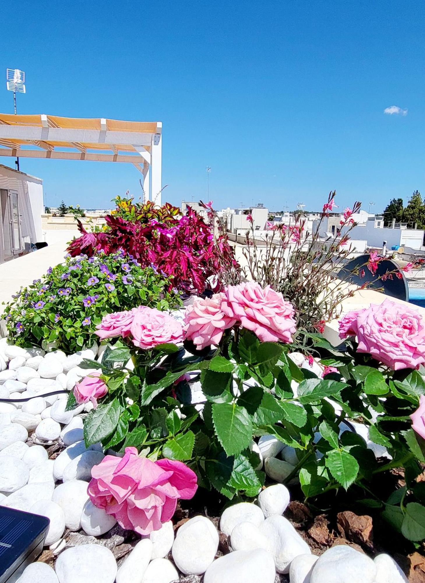 Aquamarina Rooms Porto Cesareo Extérieur photo
